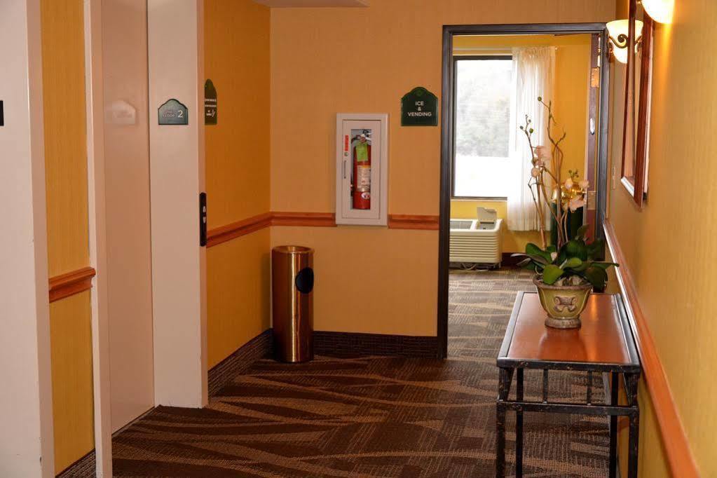 Wingate By Wyndham 3* West Monroe